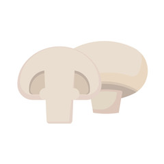 mushroom champignon isolated on white background. Vector illustration.