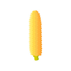 Corn icon. maize isolated on white background. Vector illustration.