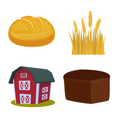 Isolated object of wheat and corn icon. Collection of wheat and harvest vector icon for stock.