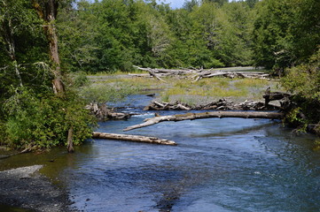 Oloympic Halbinsel, Washington