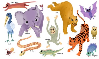 set of handrawn animal.