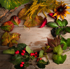 Picturesque autumn patterns of leaves and berries on a wooden background .