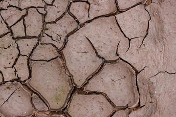 The earth is cracked due to a drought. Pieces of land divided by cracks. Textured abstract background for wallpaper.