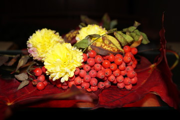 rowan and vegetables 2