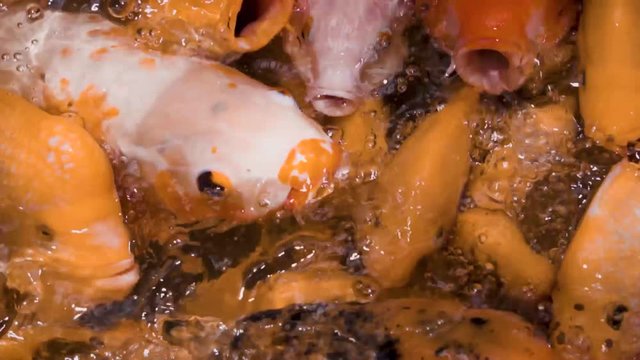 Koi fish in the water feeding on bread in Japan temple