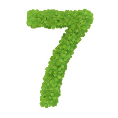 Number 7, alphabet of green leaves