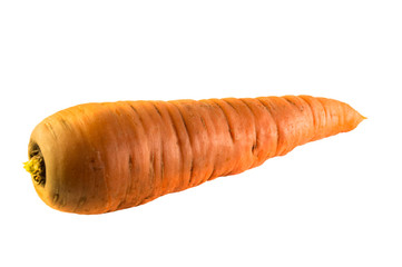 fresh carrots isolated on white background