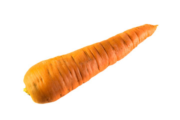 Carrot isolated on white background