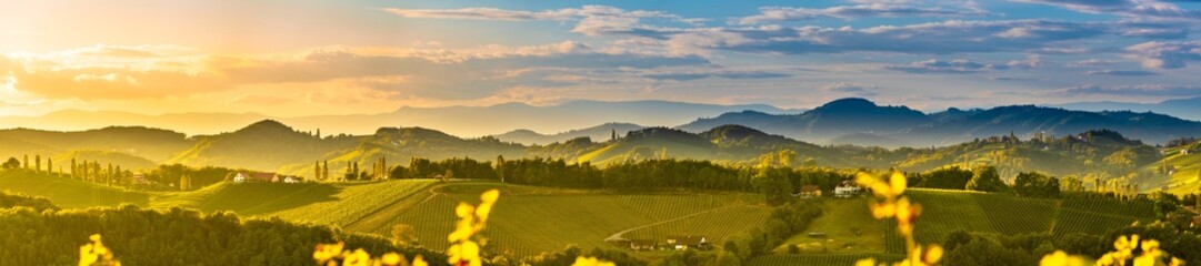 South styria vineyards landscape, near Gamlitz, Austria, Eckberg, Europe. Grape hills view from...