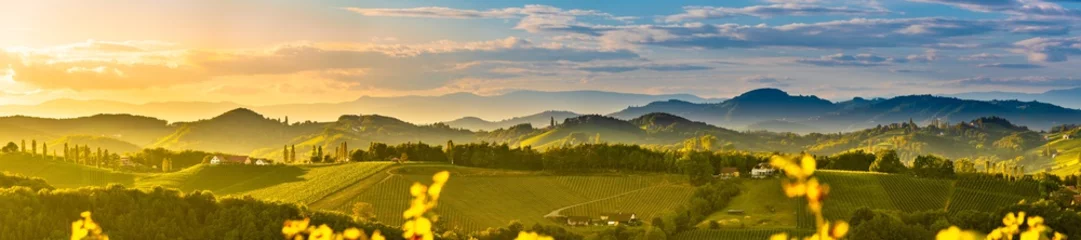 Tafelkleed Zuid-Stiermarken wijngaarden landschap, in de buurt van Gamlitz, Oostenrijk, Eckberg, Europa. Druivenheuvels uitzicht vanaf wijnweg in het voorjaar. Toeristische bestemming, panorama © Przemyslaw Iciak