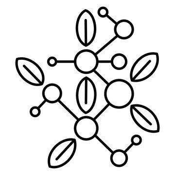 Photosynthesis