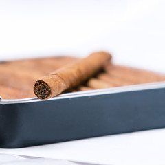 Box of cigarillos on a white background. On the box is one cigarillo. Selective focus. Close up