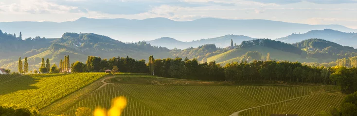 Abwaschbare Fototapete South styria vineyards landscape, near Gamlitz, Austria, Eckberg, Europe. Grape hills view from wine road in spring. Tourist destination, panorama © Przemyslaw Iciak