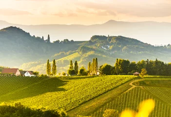 Photo sur Aluminium Jaune Paysage de vignobles de Styrie du sud, près de Gamlitz, Autriche, Eckberg, Europe. Vue sur les collines de raisin depuis la route des vins au printemps. Destination touristique, panorama