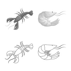 Vector design of appetizer and ocean symbol. Collection of appetizer and delicacy stock vector illustration.
