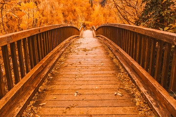 Obraz premium Wooden bridge in an autumn forest