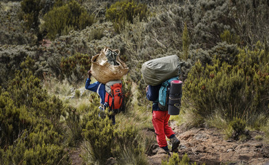 Porters Carry Heavy Stuff On Their Head, Cimbing Mount Kilimanjaro, Mount Kilimanjaro National Park, Tanzania © natanaelginting