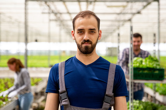 Close up pictures of a young farmer in the greenhouse