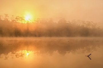 Lake view misty morning with yellow sun light background, sunrise at Wat Chan Royal Project Development Centre, Kalayaniwattana, Chiang Mai, Thailand.