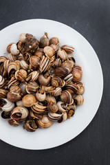 boiled snails on white plate on ceramic background