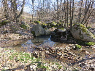 Mountain creek in spring Bukovik Serbia