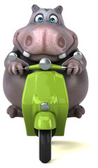 Fun hippo - 3D Illustration