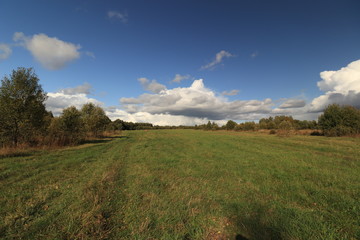 landscape with green field and blue sky
