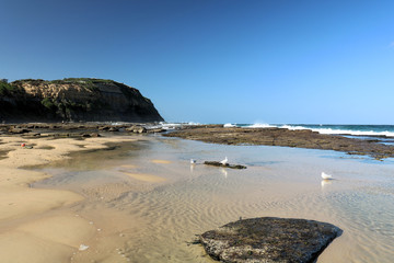 Rock Pool on Susan Gilmore Beach Newcastle Australia