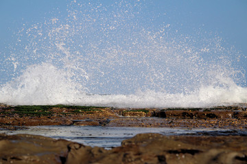 Waves and Spray on the Rock Platform Susan Gilmore Beach Newcastle Australia
