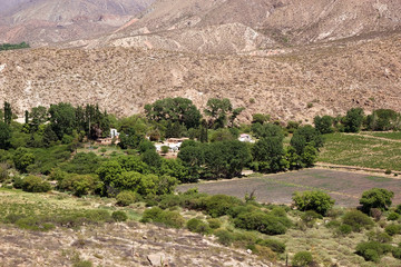 Winery, Finca Tacuil, in Calchaqui Valley along the Argentina Wine Route, Argentina