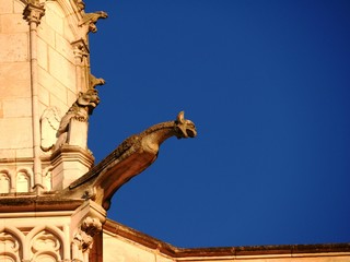 Fototapeta premium Gargouilles de la cathedrale romaine Saint Pierre de Poitiers. Vienne