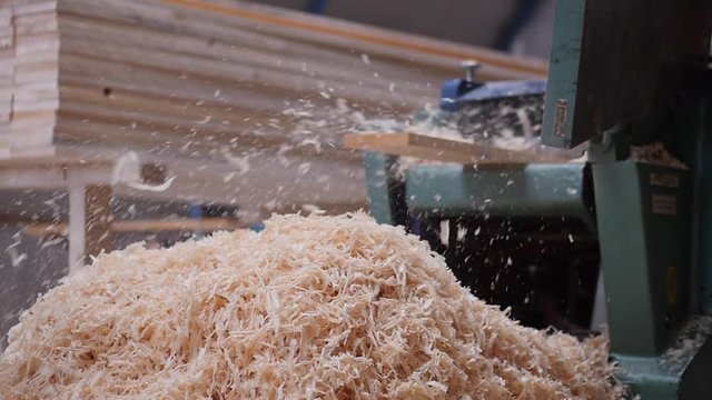 A solid wood plank coming out from an old planing machine. Slow motion shot of the plane tool processing wood while wood shavings are flying towards the camera. Shot taken in a woodworking workshop.