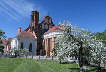 Bernardine church in Vilnius, springtime