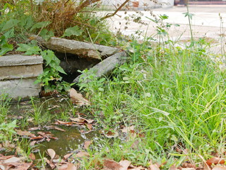 Flooding street drain by the side of a roadway because it gets clogged and failed to release the...