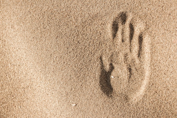 Single handprint on a sandy beach