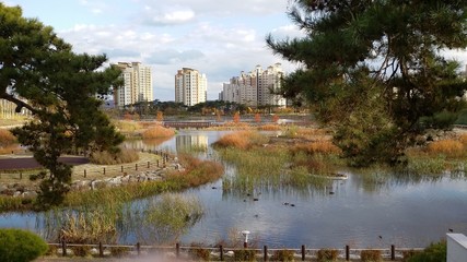 Fototapeta premium park in the city