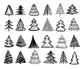 Obraz premium Sketch fir tree. Christmas trees scribble pen drawn holiday decoration. Vintage doodle graphic vector isolated collection. Paintbrush sketch, christmas tree pencil illustration
