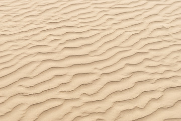 nature background of smooth sand wave texture