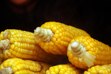 Fresh ripe Baby corn closeup