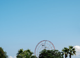 Ferris wheel among the trees. Blue sky and amusement park.