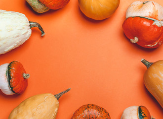 Decorative oroginal pumpkins on yellow background. Minimal helloween trendy concept. Top view, copyspace.