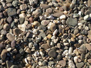 Gravel, shingle and seashells at the beach