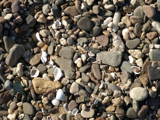 Gravel, shingle and seashells at the beach
