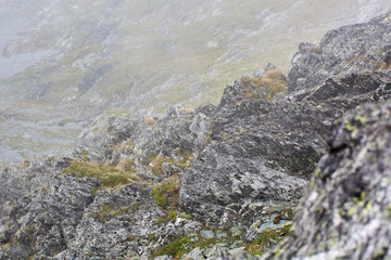 Naklejka na ściany i meble Huge rocks on a hiking trail