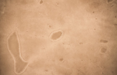 brown empty old vintage paper background