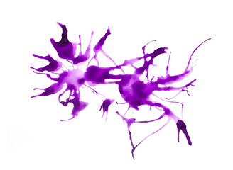 Fototapeta premium Purple paint splatter isolated on white background