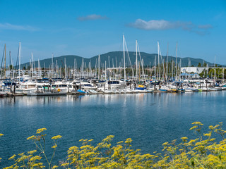 Cap Sante Marina from Cap Sante Park - Anacortes