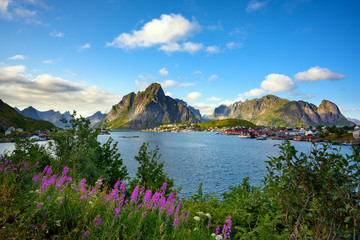 View point of the village Reine in the daytime during the hot season Is a popular place in the Norwegian Lofoten Islands