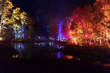 Illuminated woods in perth