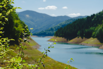 Leaves and the branches with blurred mountain lake in the distance
